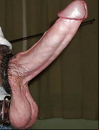 Young-looking tranny chicks with giant knocker